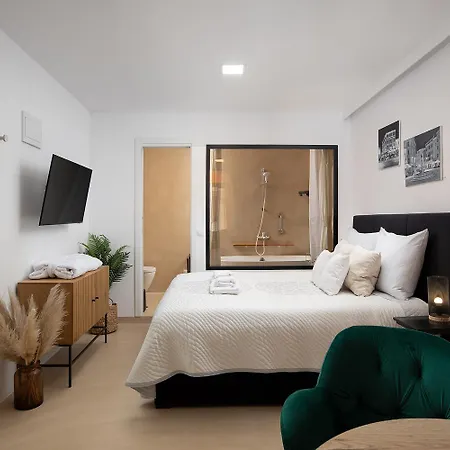 Apartment Deluxe In Center With Free Private Parking